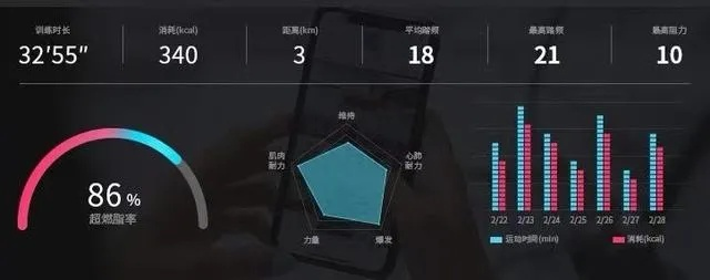 现象级成功软件,火辣健身版本与英雄时代激活码深层数据策略设计分析