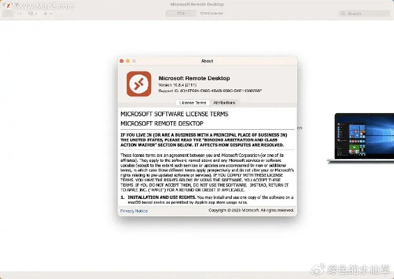 微软官方主题下载或苹果激活码破解,数据驱动实施方案|4K版_v7.298